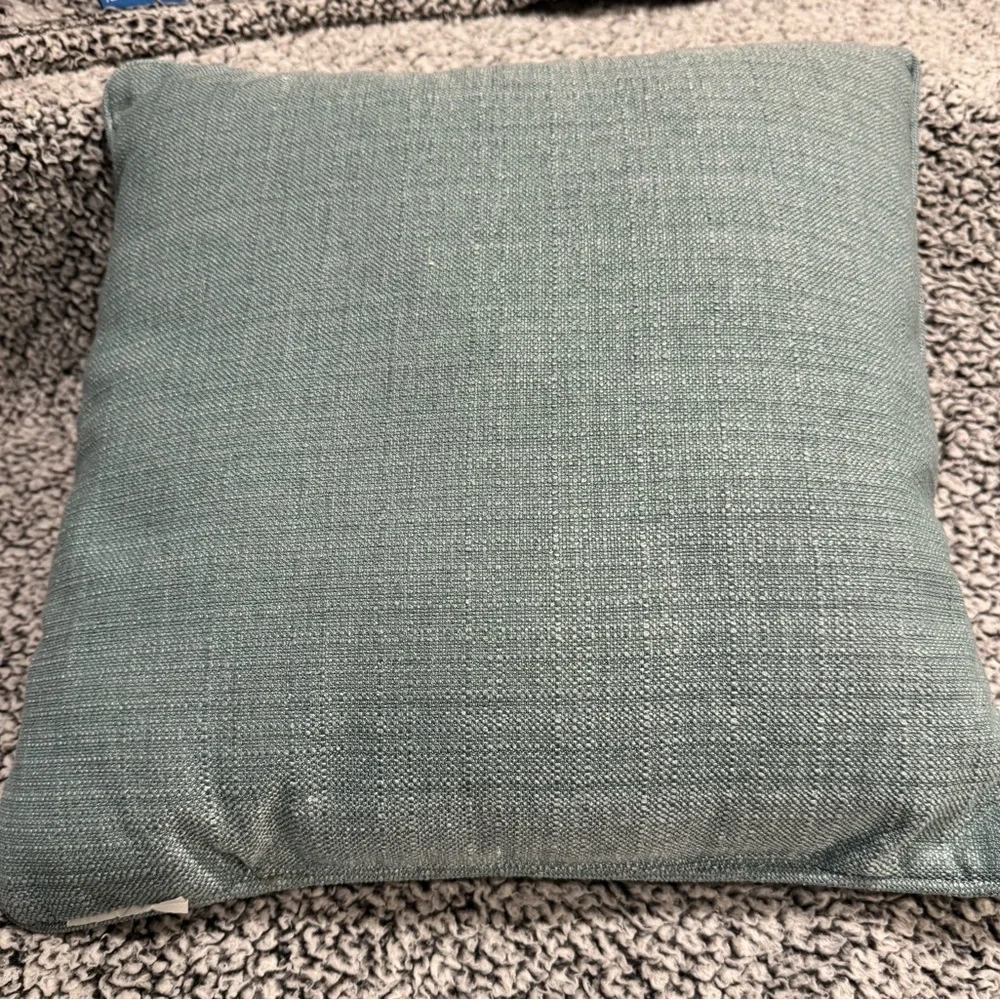 Two decorative pillows with green/blue tulip design.